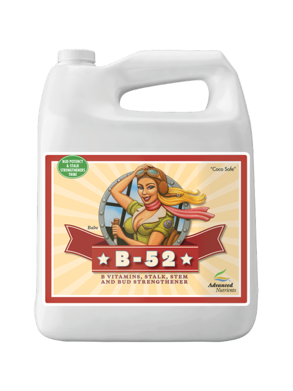 Advanced Nutrients B-52 5 liter