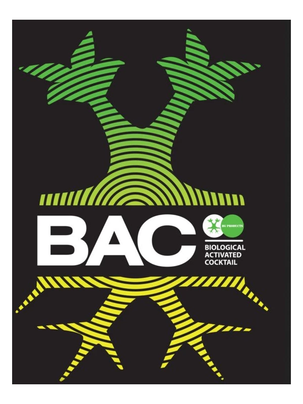 BAC