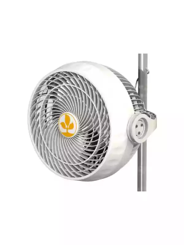 Secret Jardin Monkey Fan 30w