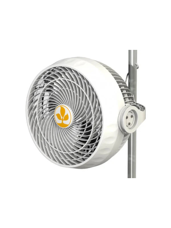 Secret Jardin Monkey Fan 20w