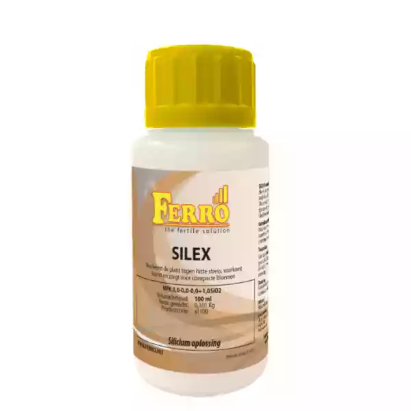 Ferro Silex 100 ml