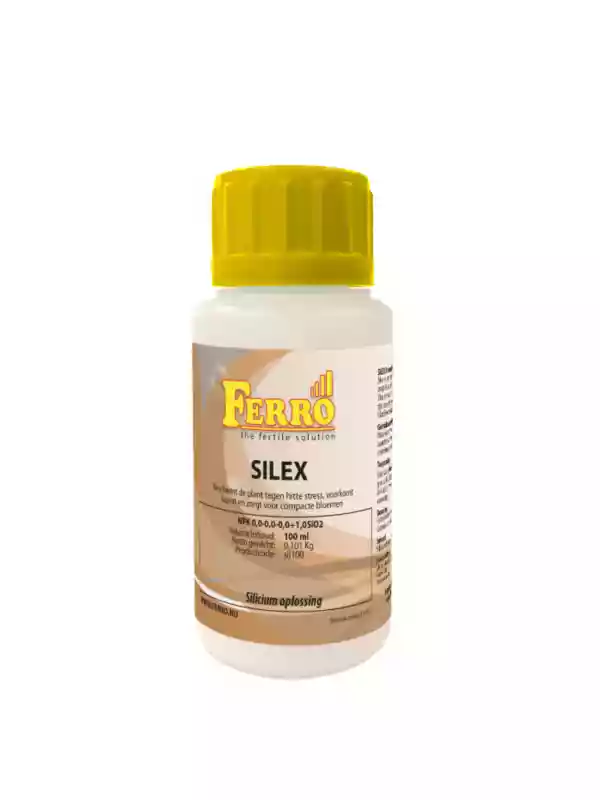 Ferro Silex 100 ml