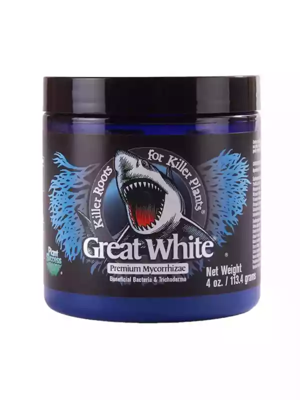 Great White 113 gram