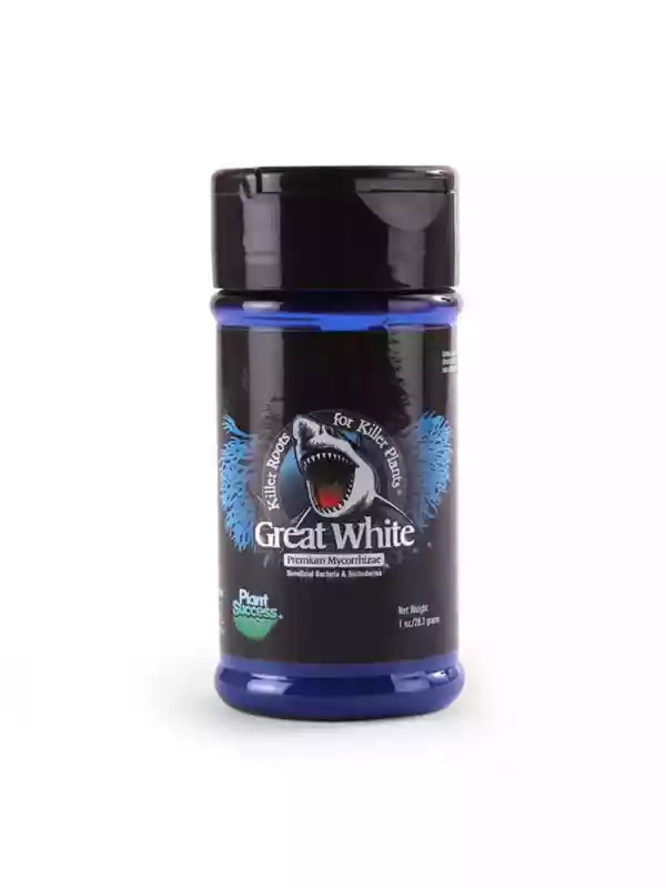 Great White 28.3 Gr