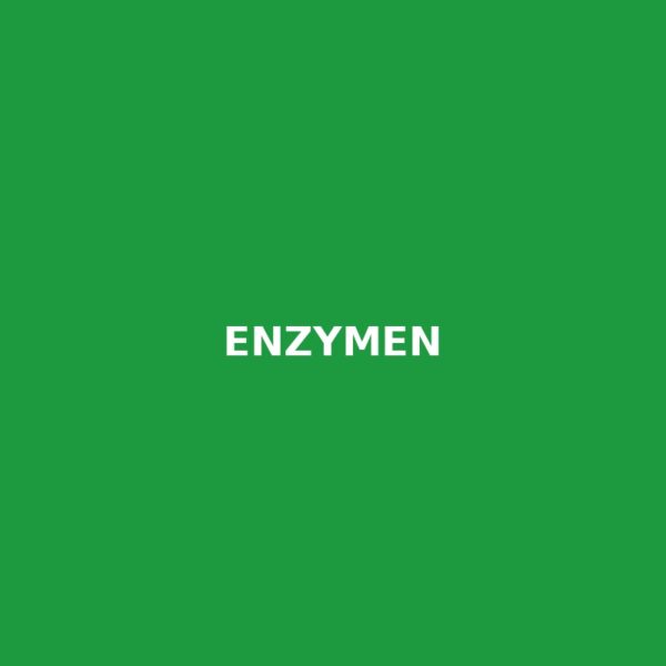 Enzymen