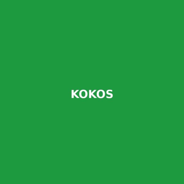 Kokos