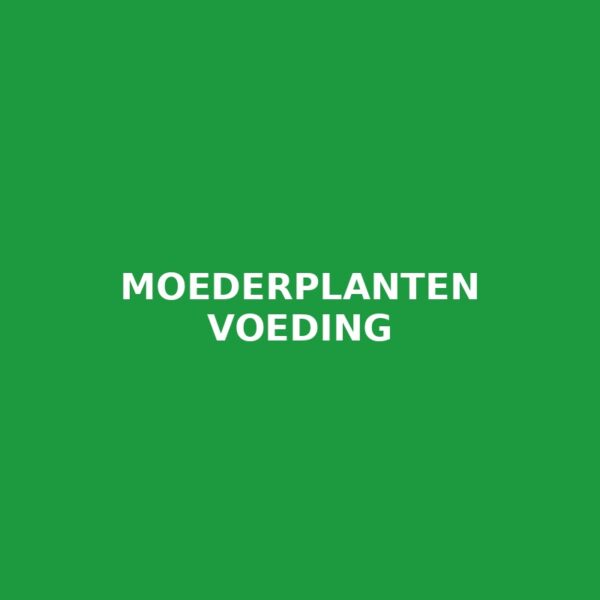 Moederplanten Voeding