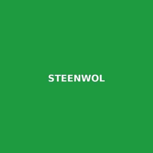 Steenwol