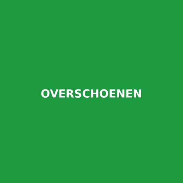Overschoenen