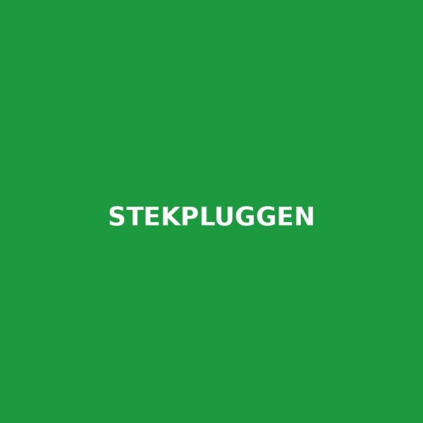 Stekpluggen